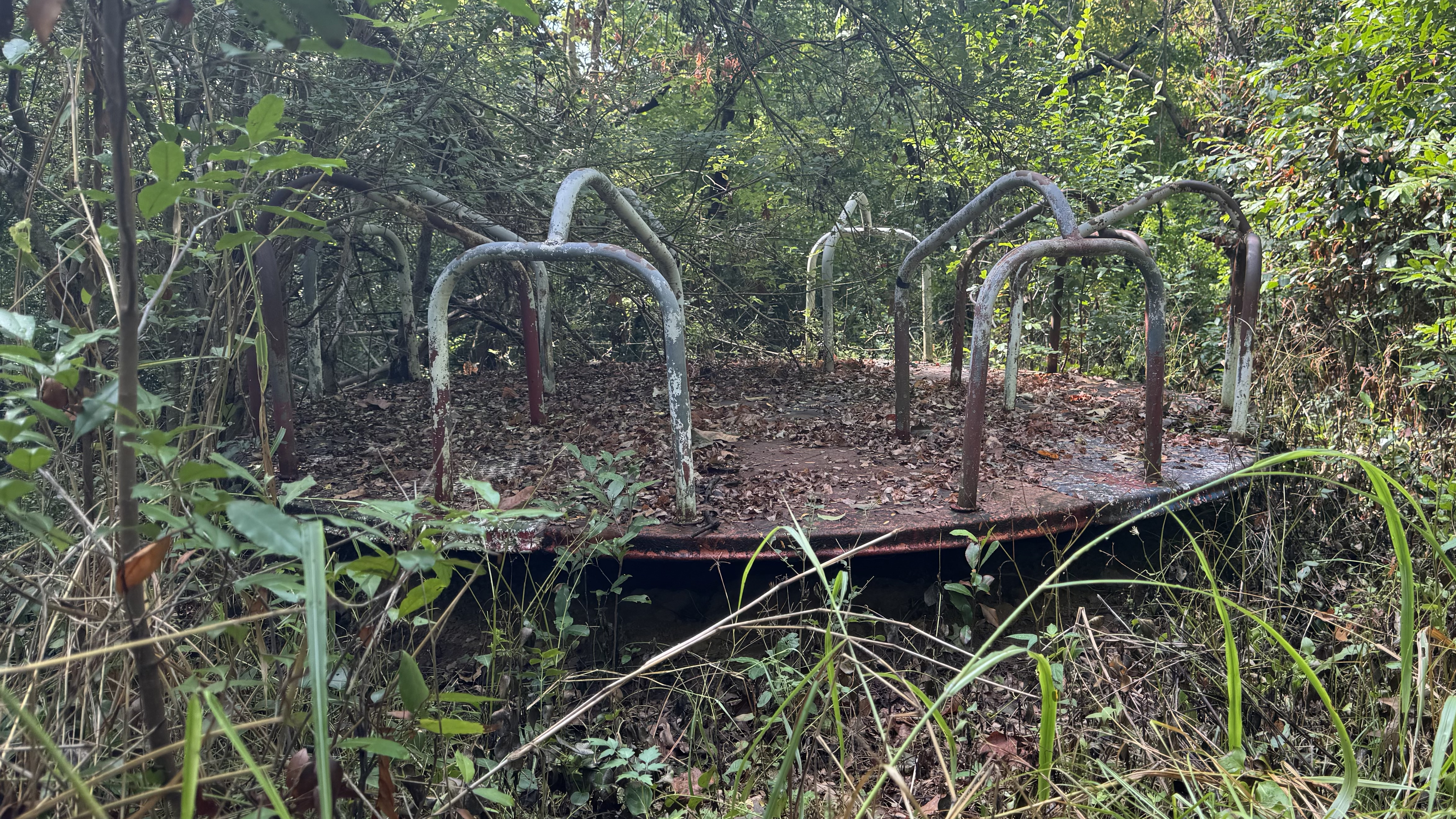 Cryptids of Warren County: What lurks beyond the porch lights?