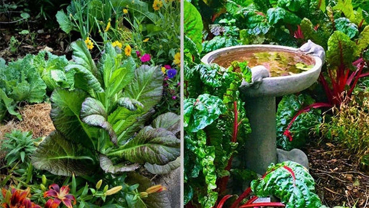 Felder Rushing: Vegetables are more interesting when you mix...