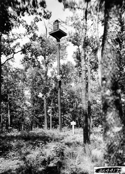 It Caught My Eye: Crow’s Nests, Not Trails