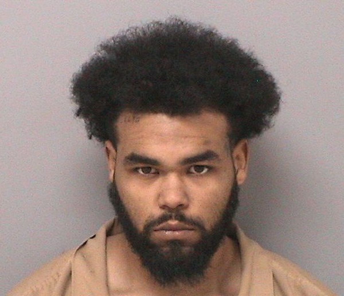 Mount Vernon man arrested in gun incident