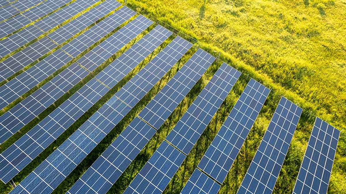 Isle of Wight sees flurry of solar farm proposals