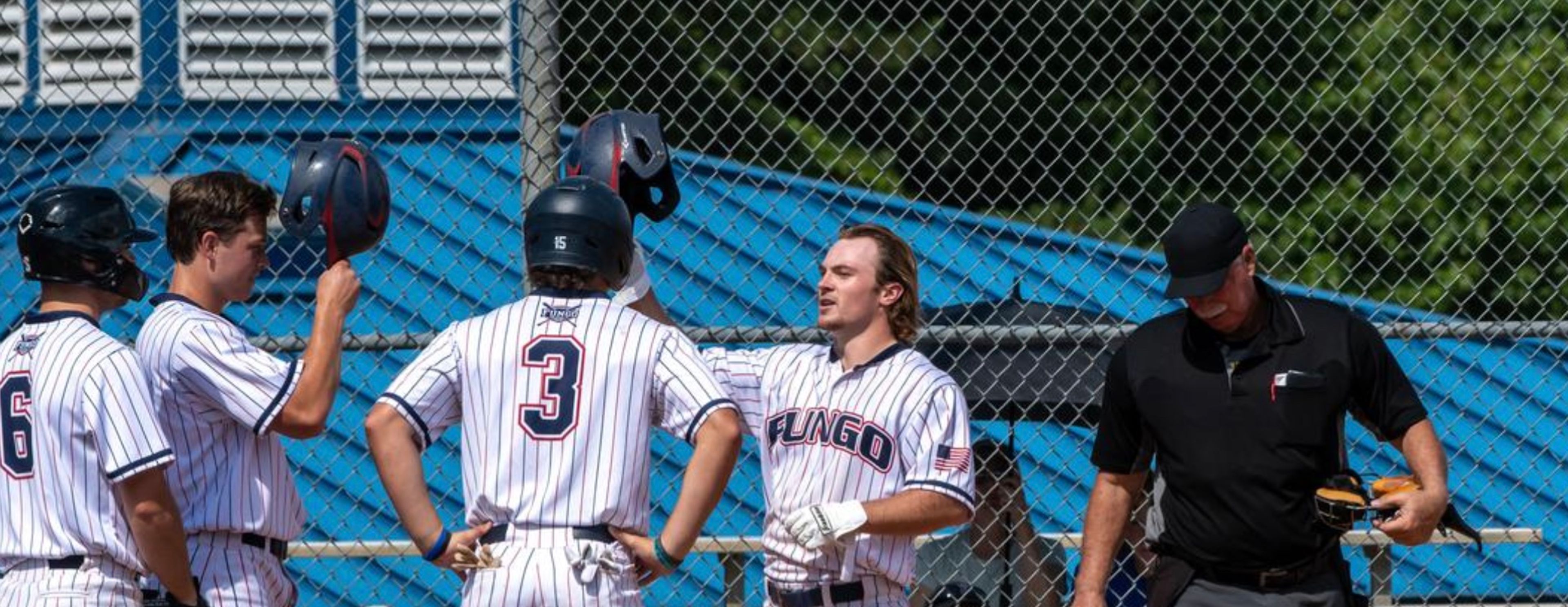 Wake Forest FUNGO Returns for 10th Season; 2026 Schedule, Tickets and Camps Now Available 