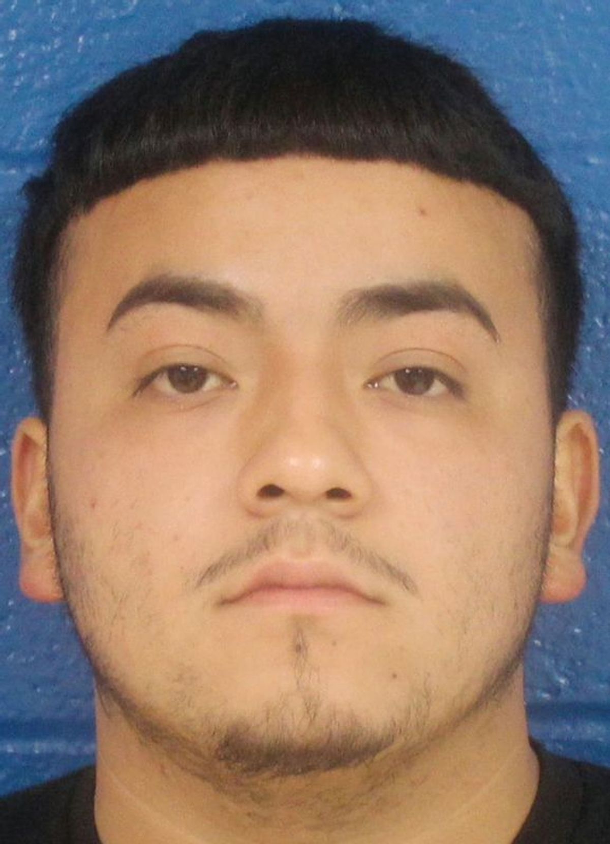 Deputies seize 101 pounds of meth in traffic stop