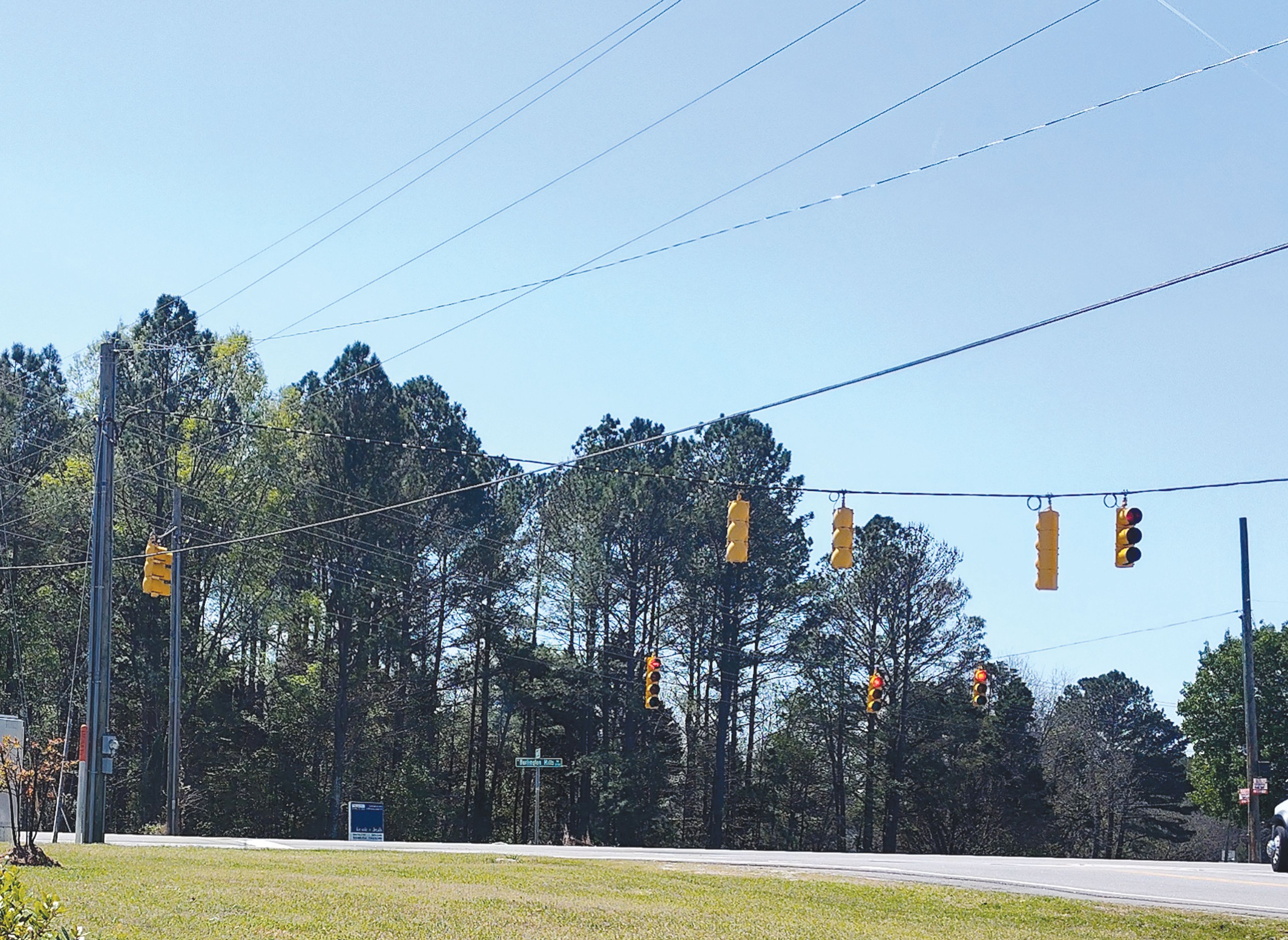 Mystery in Wake Forest: Five-foot shark carcass found along Ligon Mill Road  