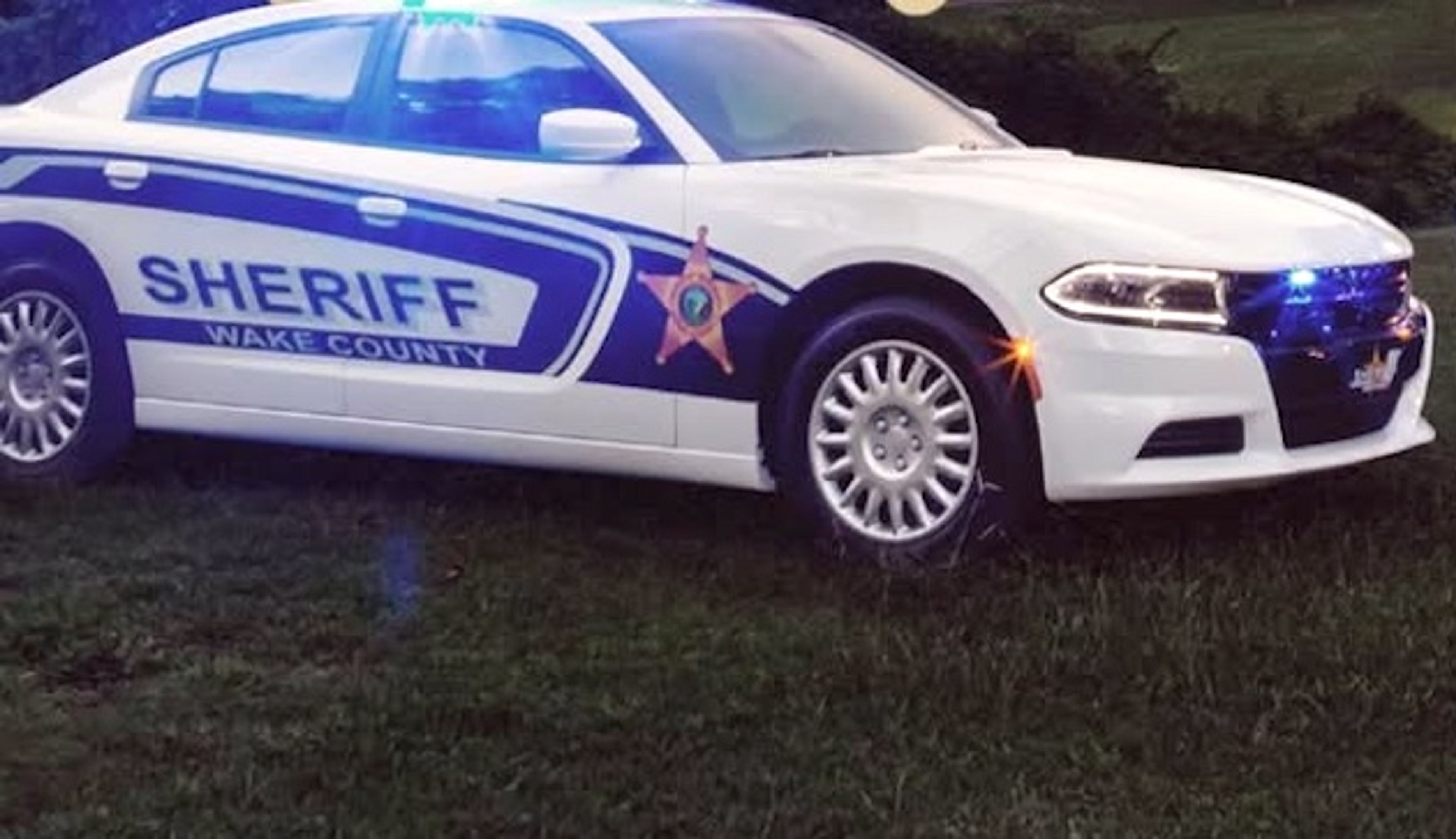 Woman faces animal cruelty charges