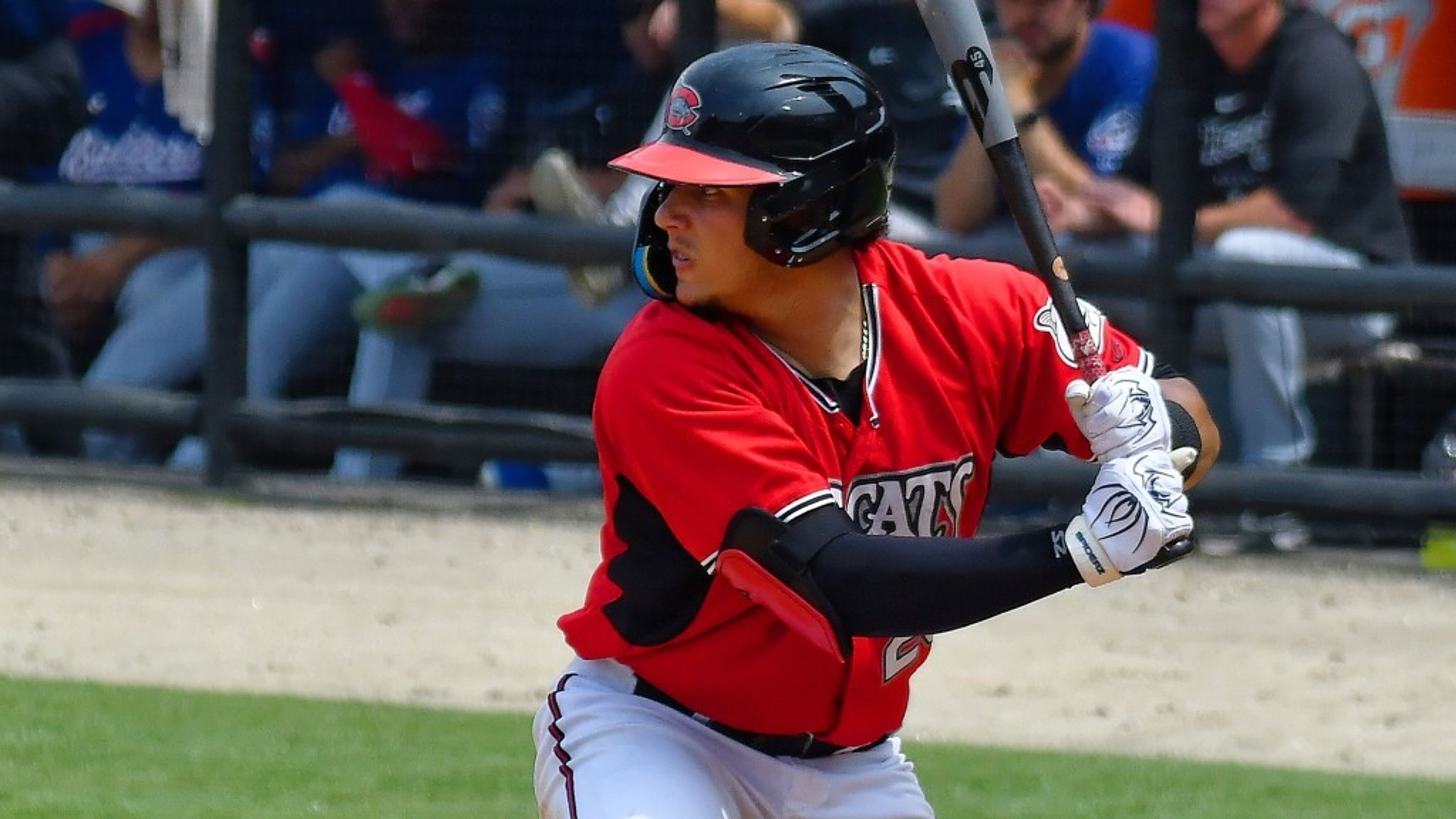 Carolina Mudcats win back-to-back series