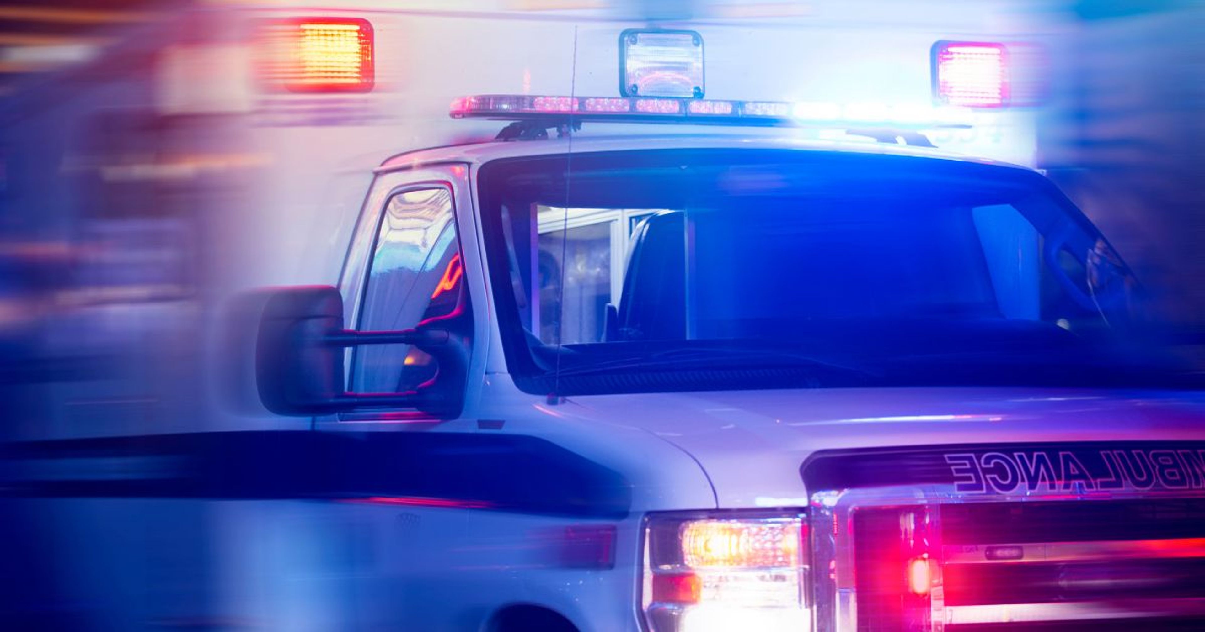 ExcelsiorCitizen-Ft-Image - 2