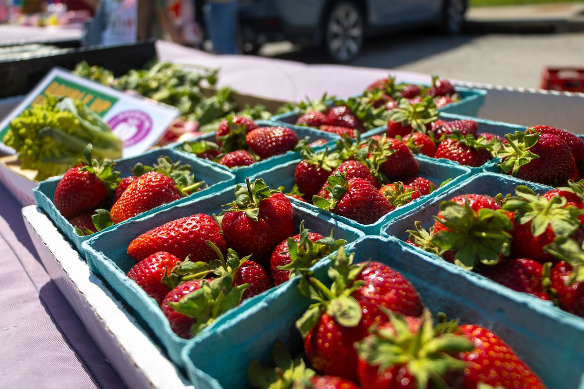Excelsior Springs Farmers Market Opens Tuesday Morning Seaso...